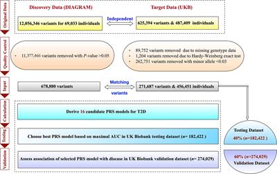 An Improved Genome-Wide Polygenic Score Model for Predicting the Risk of Type 2 Diabetes